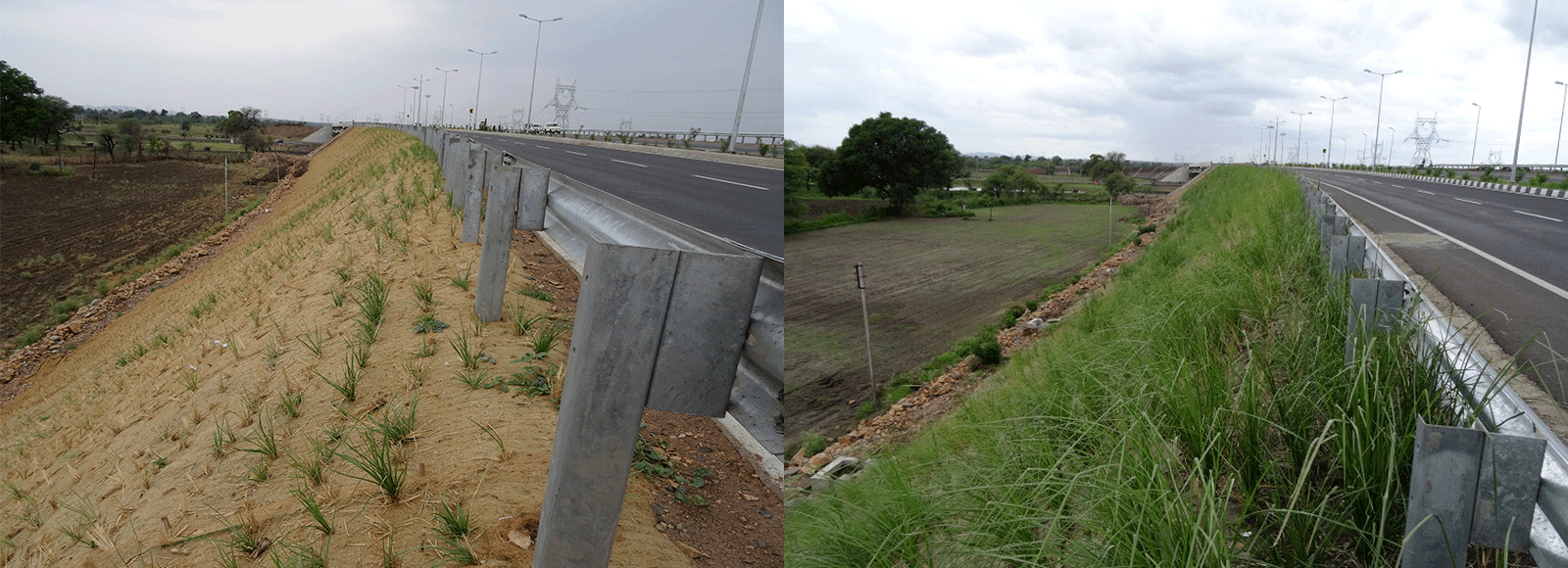 Sachi Geosynthetics 