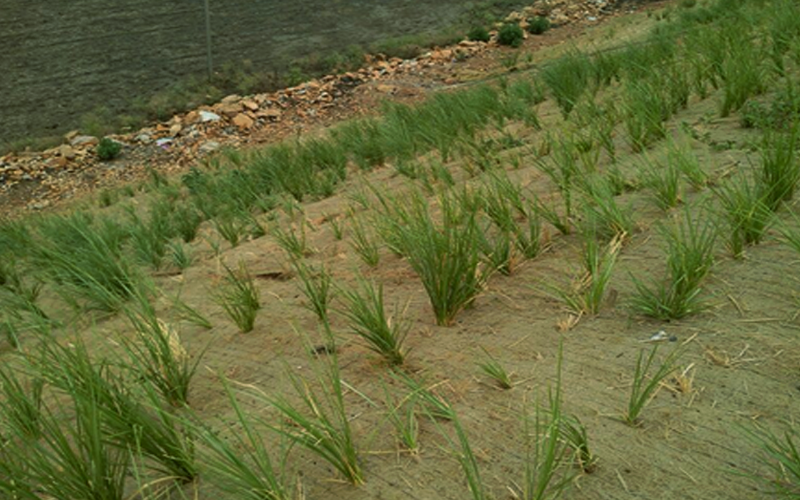 Reinforced Soil Slopes and Erosion Protection